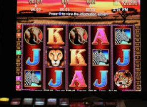 雷火电竞下载最新版